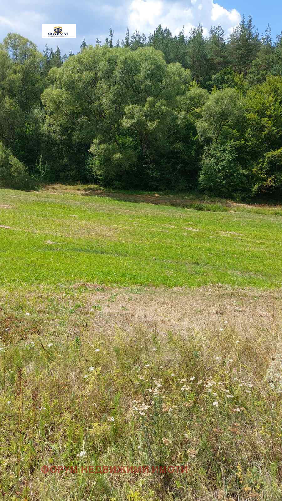 ������� ������ | Imot.bg � ����������� 1