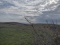 Продава ЗЕМЕДЕЛСКА ЗЕМЯ, гр. Каблешково, област Бургас, снимка 6