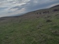 Продава ЗЕМЕДЕЛСКА ЗЕМЯ, гр. Каблешково, област Бургас, снимка 10