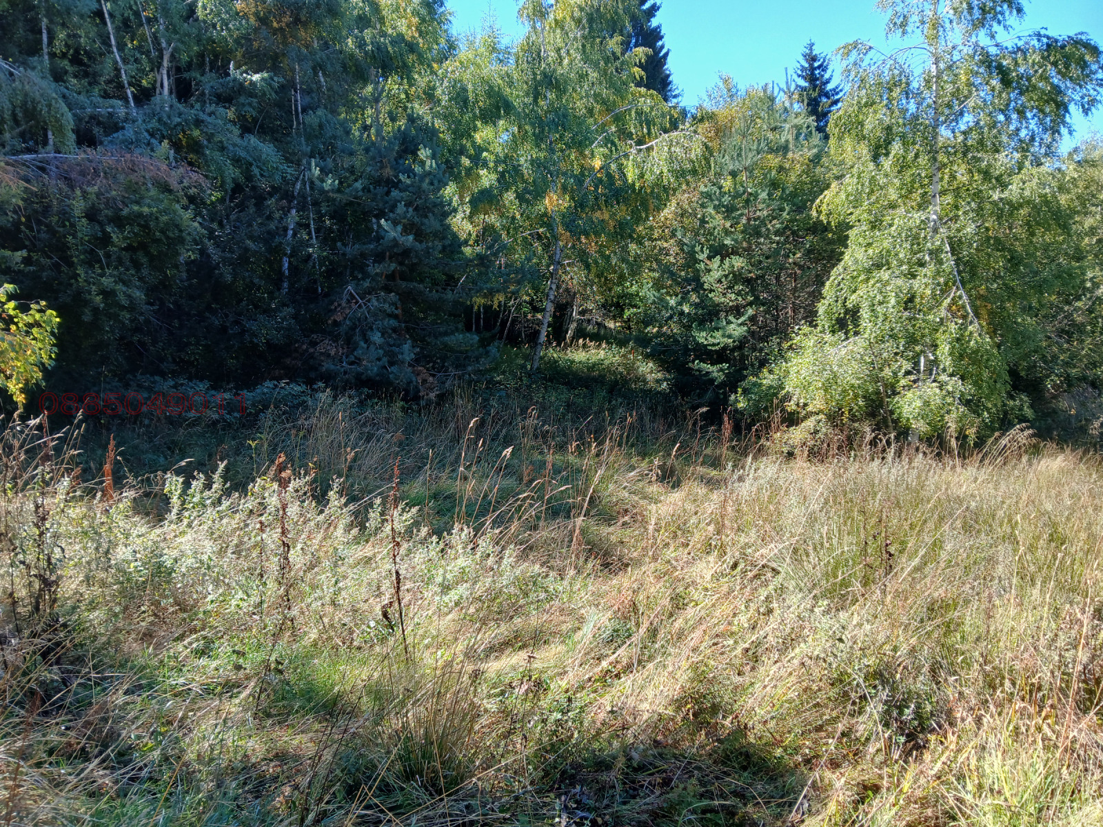 ������� ������ | Imot.bg � ����������� 8