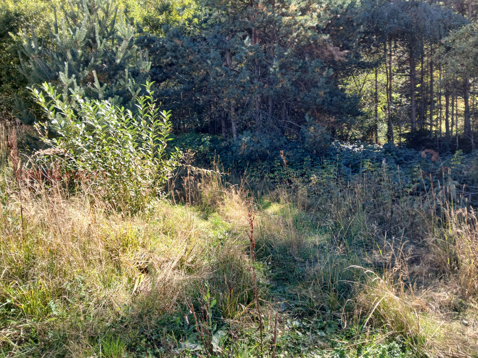 ������� ������ | Imot.bg � ����������� 2