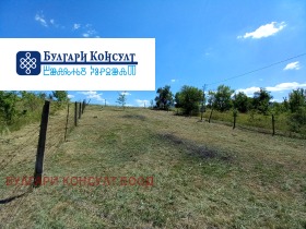 Продается Сюжет