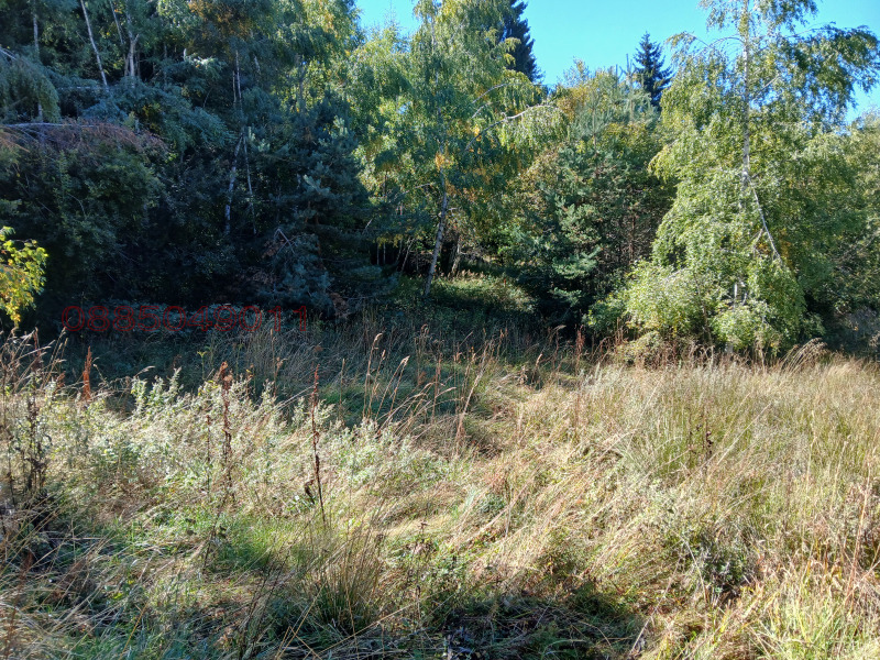 Продава ПАРЦЕЛ, с. Ситово, област Пловдив, снимка 8 - Парцели - 52997440