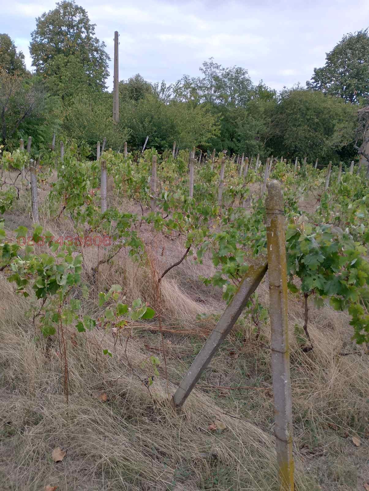 Продава КЪЩА | Imot.bg — изображение 14