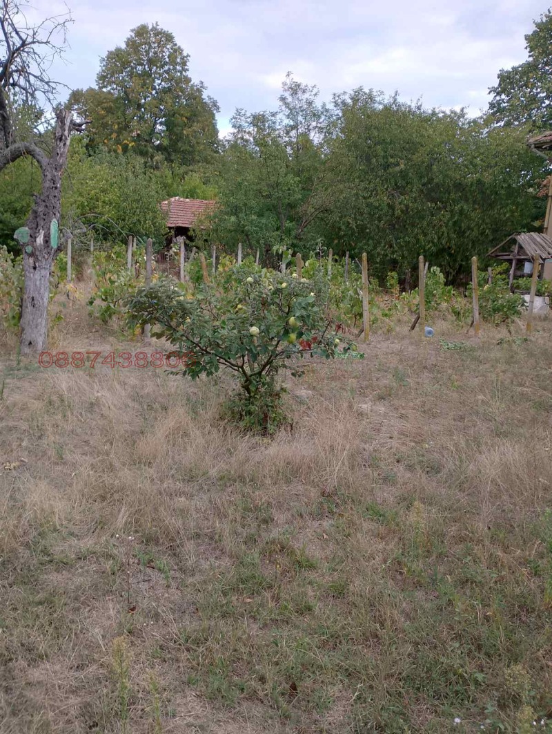 Продава КЪЩА, с. Ковачица, област Монтана, снимка 9 - Къщи - 52328879