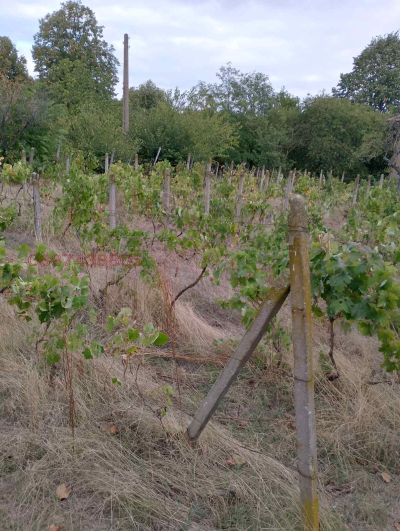 Продава КЪЩА, с. Ковачица, област Монтана, снимка 13 - Къщи - 52328879