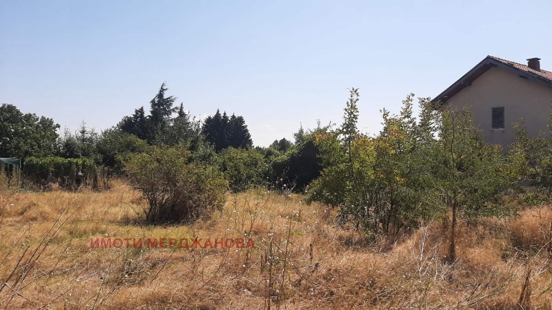 À vendre  Parcelle région Stara Zagora , Dalboki , 774 m² | 69090668 - image [4]