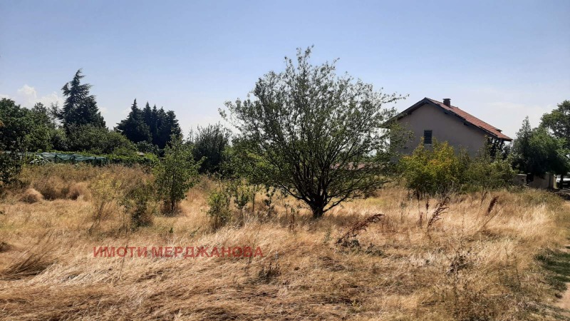 Te koop  Verhaallijn regio Stara Zagora , Dalboki , 774 m² | 69090668 - afbeelding [6]