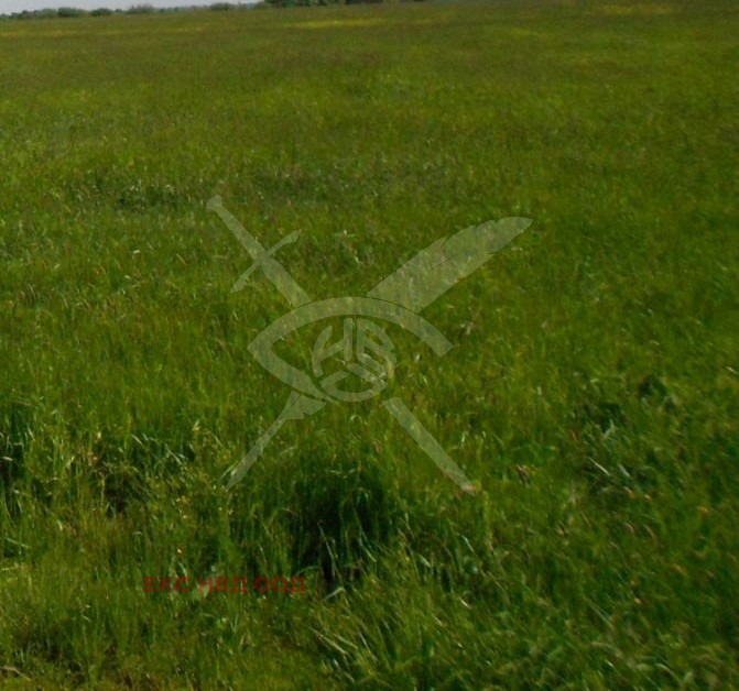 For Sale  Plot region Plovdiv , Tsaratsovo , 8212 sq.m | 66283868