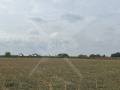 Продава ПАРЦЕЛ, гр. Пловдив, Прослав, снимка 1