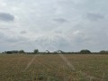 Продава ПАРЦЕЛ, гр. Пловдив, Прослав, снимка 2