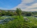Продава КЪЩА, област Велико Търново, с. Церова кория • 65000 € • 31173754 — Holmes.bg