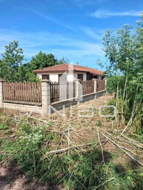 ����� ������� ����,��. �������, ������ ������