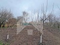 Продава КЪЩА, област Шумен, гр. Нови пазар • 40000 лв. • 46554235 — Holmes.bg