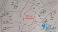 Продава ПАРЦЕЛ, област Велико Търново, с. Драгижево • 22000 лв. • 97169572 — Holmes.bg