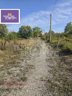 ������� ���� | Imot.bg � ����� ������ 8