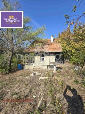 ����� ������� ����,�. �������, ������ ������ �������