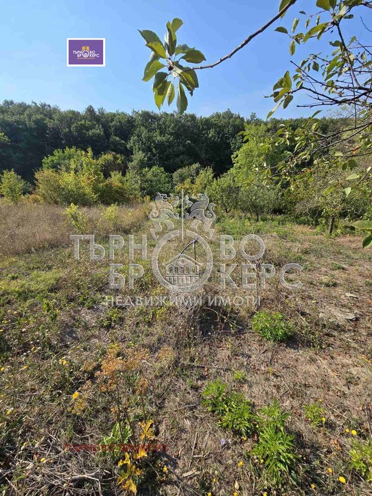 Продава ВИЛА, с. Буковец, област Велико Търново, снимка 9 - Вили - 53914496