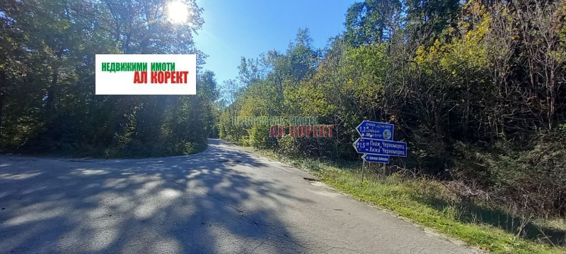Na prodej  Spiknutí Varna , m-t Rakitnika , 5000 m2 | 53717750