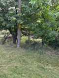 Продава ПАРЦЕЛ, с. Долна Диканя, област Перник, снимка 10