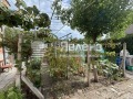 Продава  Етаж от къща област Бургас , гр. Каблешково , 125 кв.м | 68122041 - изображение [14]