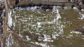 Продава  Земеделска земя област София , с. Очуша , 6 дка | 65119714 - изображение [3]