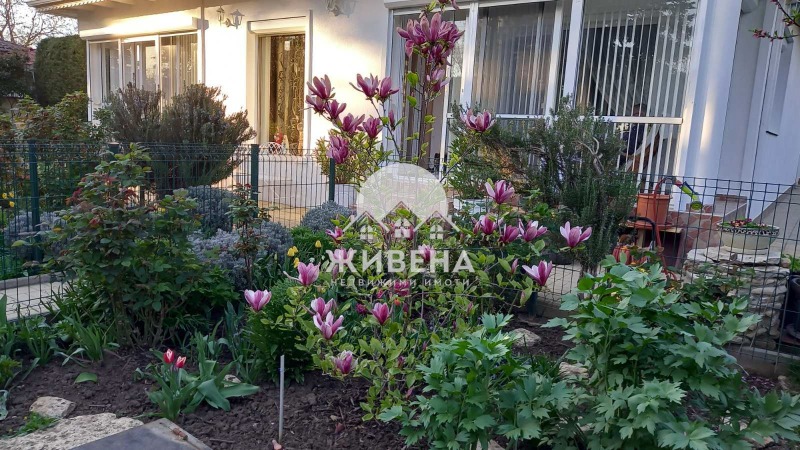 Продава КЪЩА в област Добрич, с. Соколово - 150 кв.м / 245 000 € » 479 178.35 лв., ЖИВЕНА