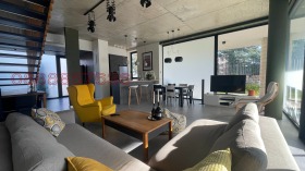 ����� ������� ����,���� �����, �����