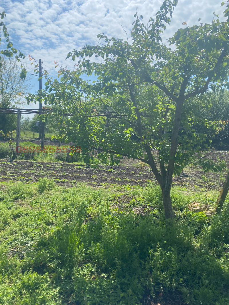 Продава КЪЩА, с. Вратарите, област Добрич, снимка 7 - Къщи - 52779896