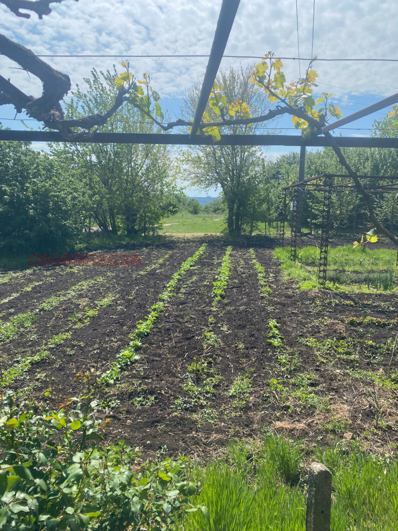 Продава КЪЩА, с. Вратарите, област Добрич, снимка 4 - Къщи - 52779896