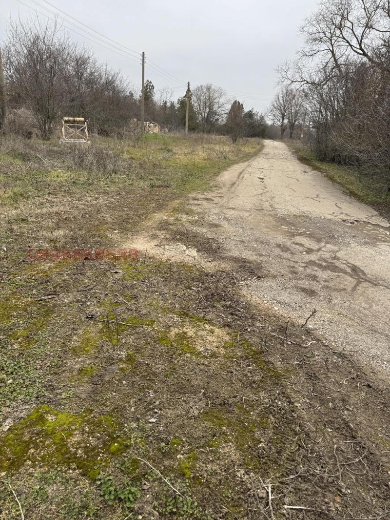 Продава КЪЩА, с. Вратарите, област Добрич, снимка 16 - Къщи - 52779896