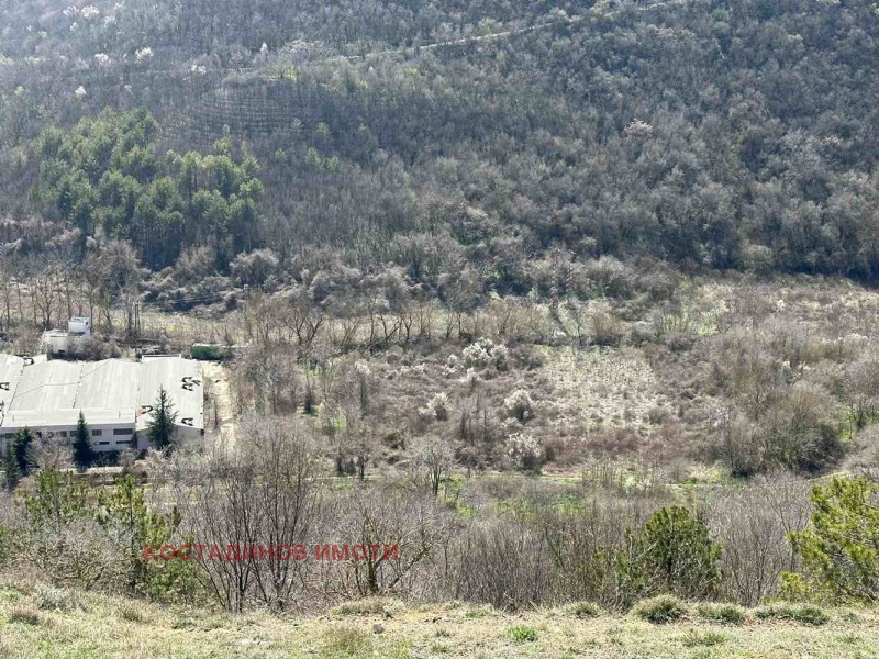 Προς πώληση  Οικόπεδο περιοχή Dobrich , Καβαρνα , 16152 τ.μ | 84777975 - εικόνα [15]