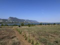 Продава ПАРЦЕЛ, град Враца, Студентски град • 98000 лв. • 54532291 — Holmes.bg