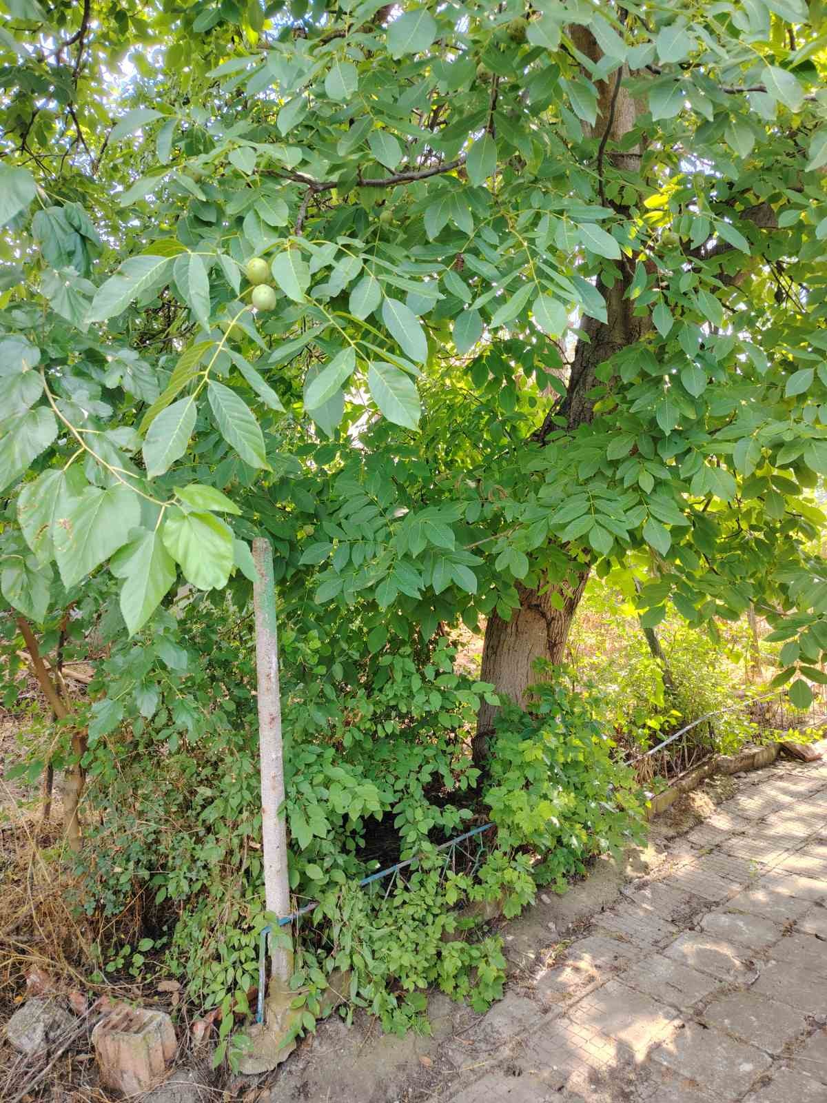 ������� ���� | Imot.bg � ����������� 16