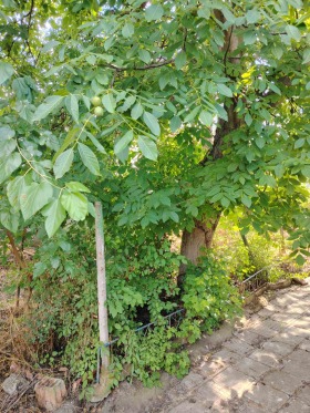 ������� ���� | Imot.bg � ����� ������ 16