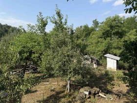 ������� ���� | Imot.bg � ����� ������ 11