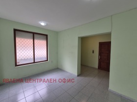 ����� ������� �������,���� �����, �������