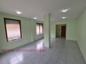 ����� ������� �������,���� �����, �������