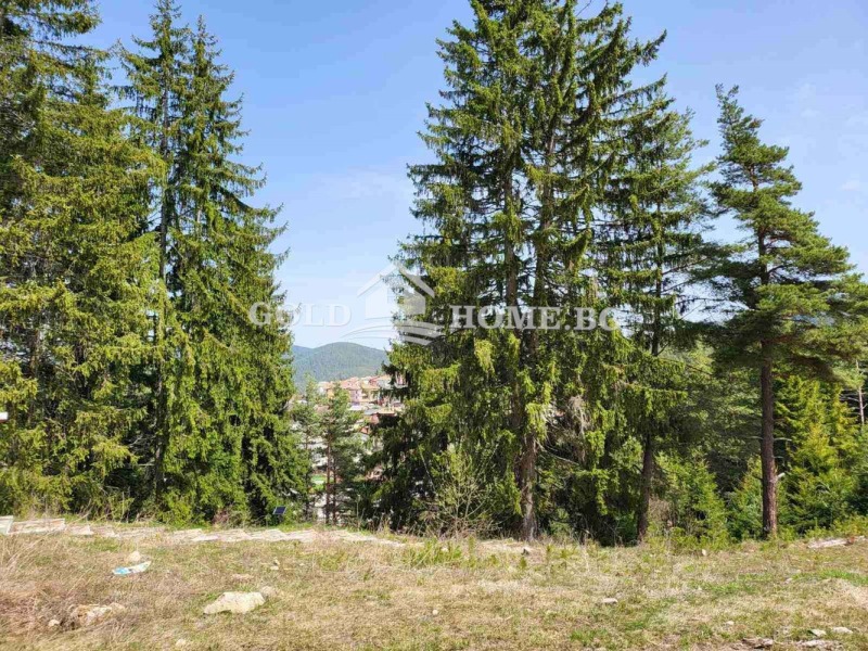 Til salg  Hus region Smolyan , Dospat , 140 kvm | 51622139 - billede [14]
