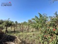 Продава КЪЩА, област Добрич, с. Преселенци • 53000 лв. • 10304775 — Holmes.bg