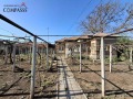 Продава КЪЩА, област Добрич, с. Преселенци • 53000 лв. • 10304775 — Holmes.bg