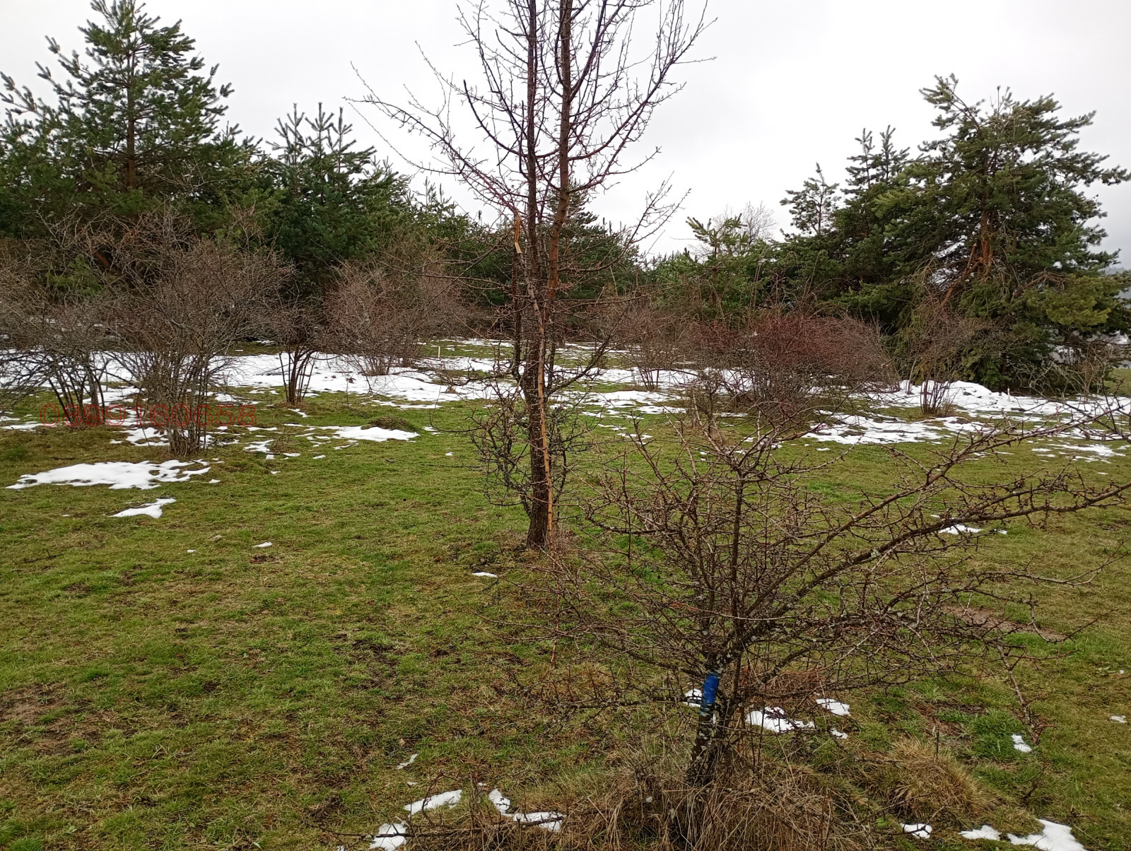 ������� ���������� ���� | Imot.bg � ����������� 1