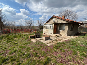 ����� ������� ����,�. �������, ������ �����