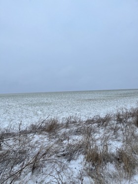 Land Nikolaewka, region Varna 2