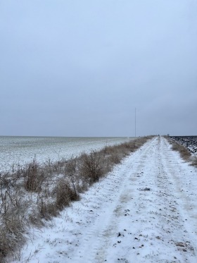 Land Nikolaewka, region Varna 1