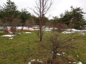 ����� ������� ���������� ����,�. ����� ��������, ������ �����