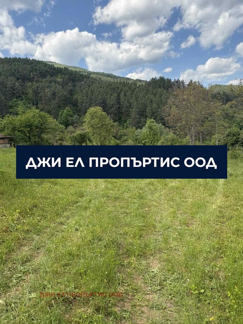 Продава ПАРЦЕЛ, с. Реброво, област София област, снимка 4 - Парцели - 53590547