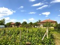 Продава  Къща област Плевен , с. Обнова , 101 кв.м | 48650935 - изображение [11]