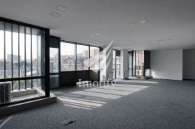 ������ ������� ����