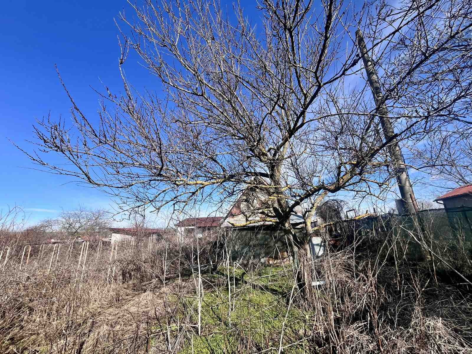 Продава ПАРЦЕЛ, с. Бранище, област Добрич, снимка 5 - Парцели - 54363544